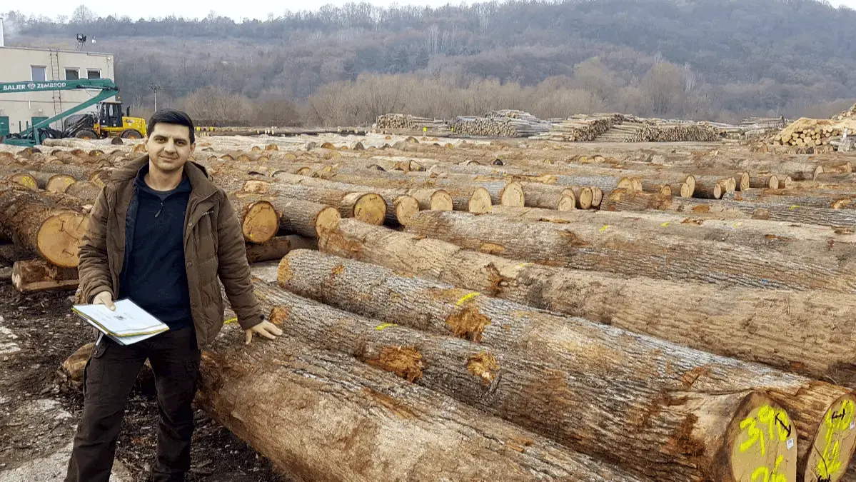 Person standing beside logs in a lumber yard