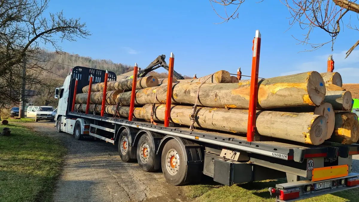 White semi-truck loaded with large timber logs