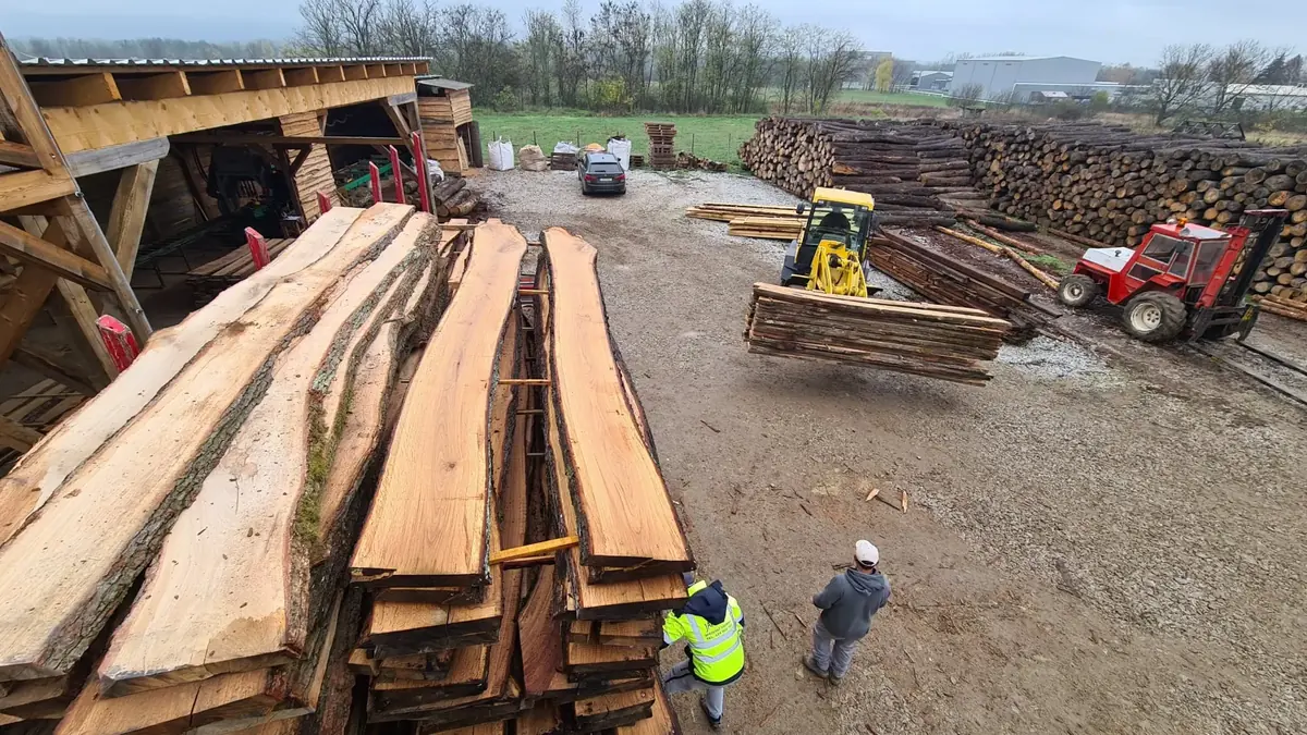 Open-air sawmill yard with live-edge wood slabs