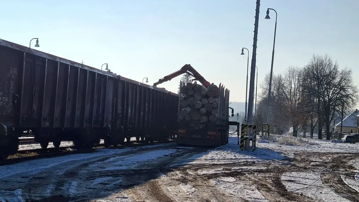Logging truck unloading timber beside a freight train