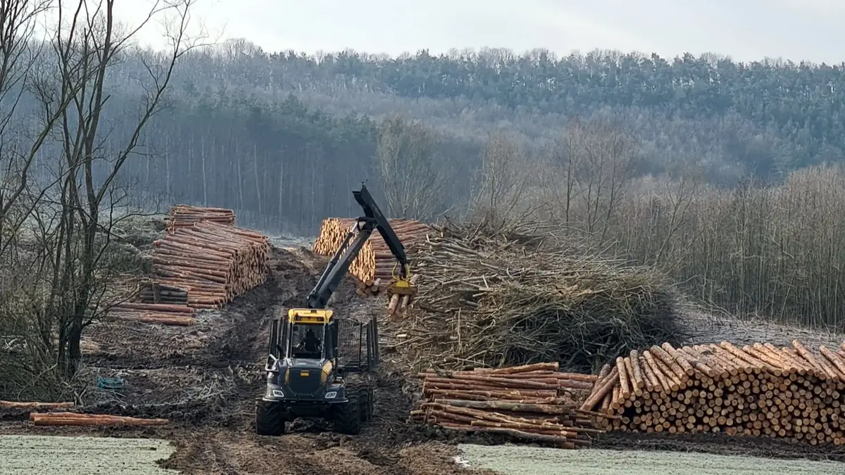 Forestry machine operating in a muddy clearing