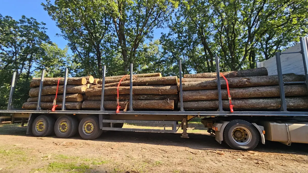 Flatbed trailer carrying long timber logs