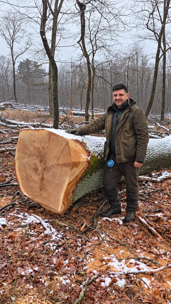 Forestry worker standing beside a felled tree in a forest
